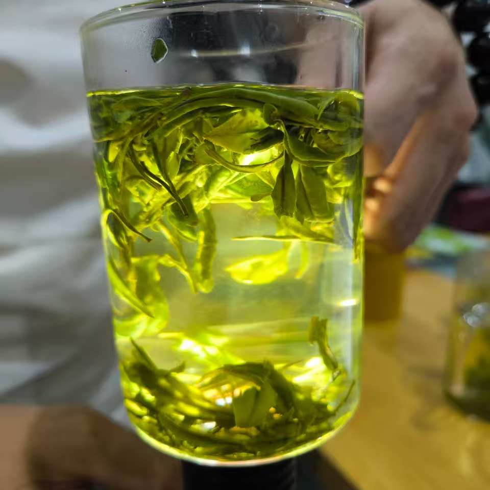 【福利黄芽】2025年新茶老茶树土品种黄芽袋装浓香耐泡口粮茶