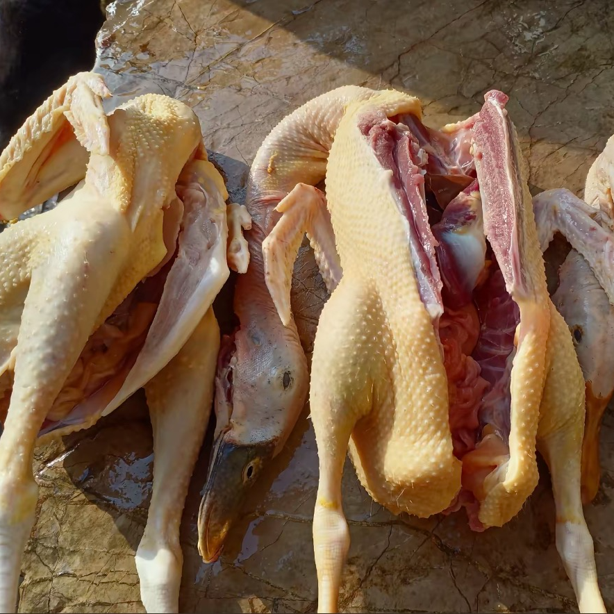 土鸭散养新鲜现宰120天麻鸭