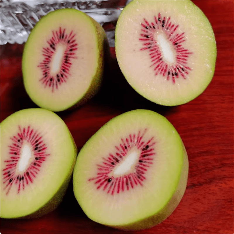 猕猴桃树果苗红心软枣猕猴桃苗徐香嫁接南北方种植庭院水果树果苗