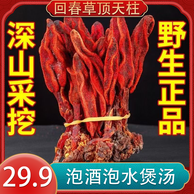 云南回春草顶天柱可泡水可煲汤可泡茶100g