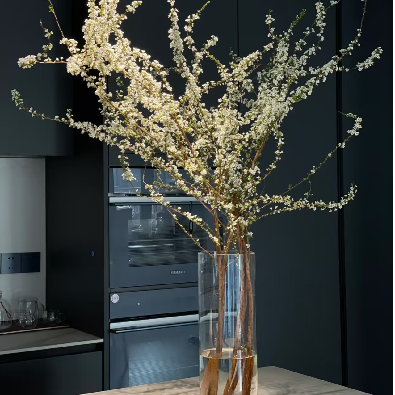 雪柳鲜枝支绿植盆栽水养插花水培植物遇水开花室内花卉好养活