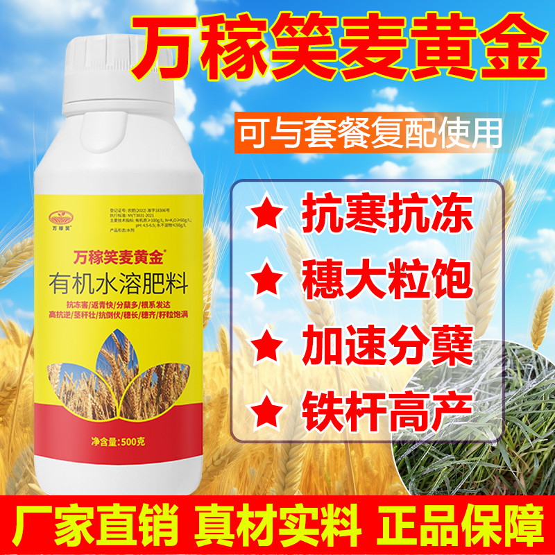万稼笑麦黄金小麦专用生根壮苗促进分蘖抗倒伏穗大粒饱小麦叶面肥