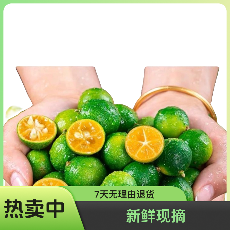 正宗海南青金桔新鲜小青柠可榨汁调味用于奶茶店包邮