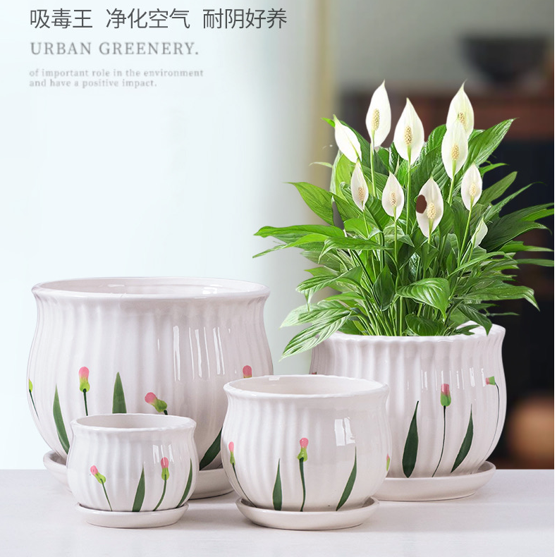 大号陶瓷多肉花盆中号特大家用简约带托盘创意绿萝吊兰多肉小花盆