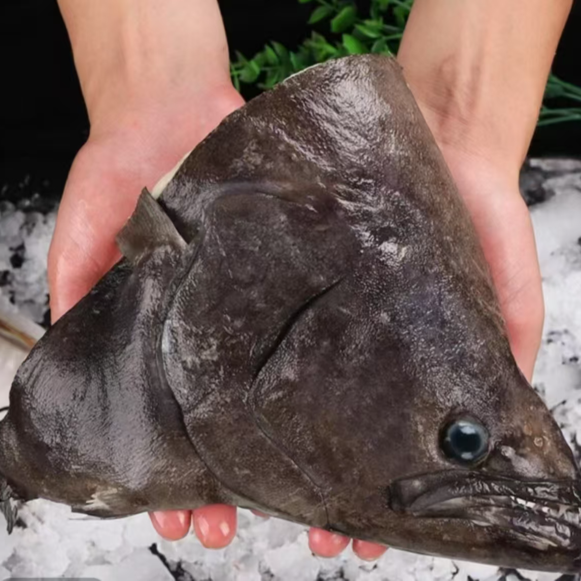 连云港发货 深海碟鱼头新鲜冷冻超大比目鱼头（1斤-1.5斤规格）