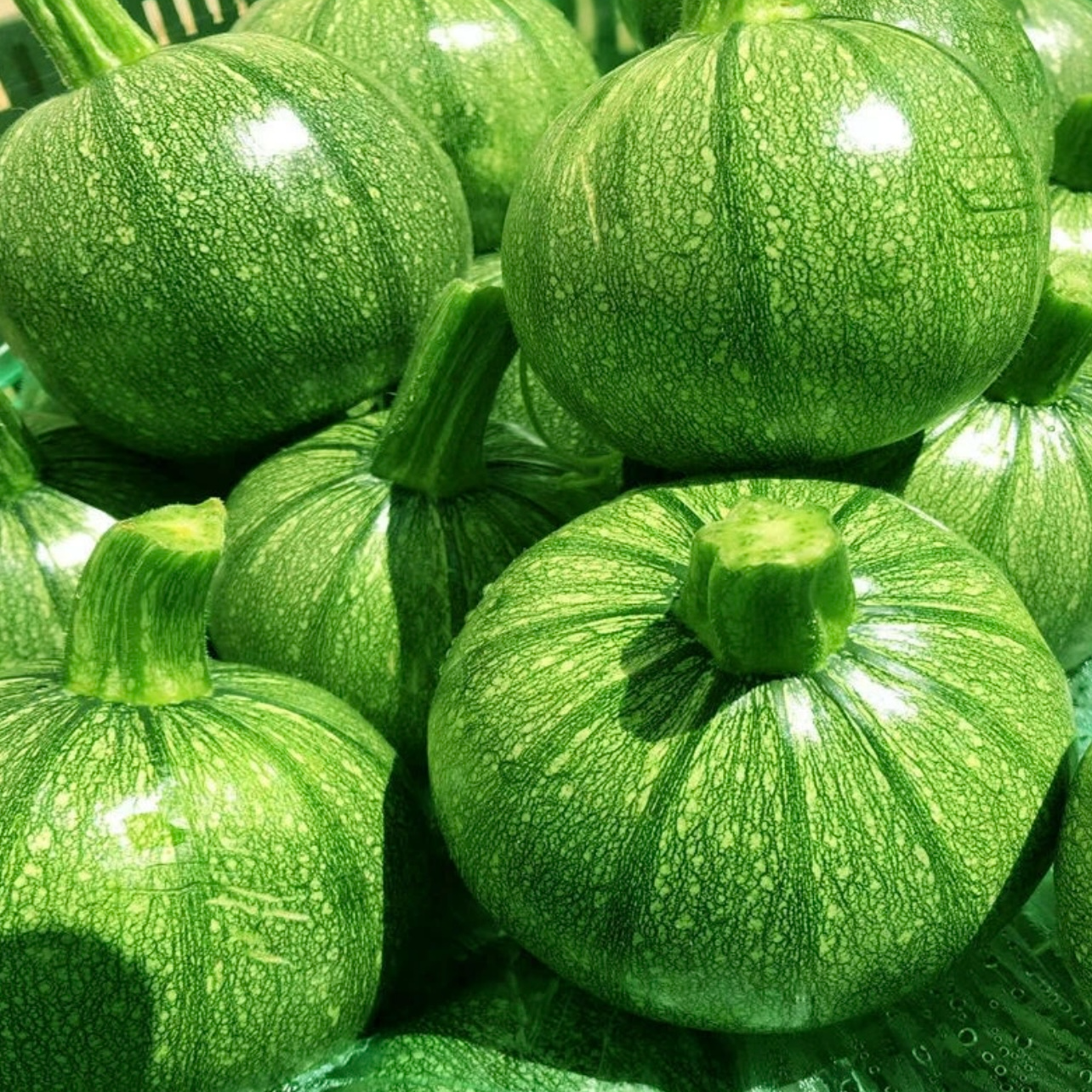 蘸水菜小圆瓜嫩南瓜农家自种安心太好吃了南方蔬菜云南水煮嫩南瓜