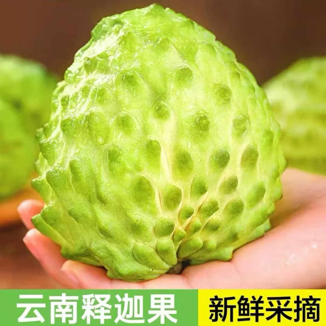 【空运现货】新鲜当季牛奶凤梨释迦果软糯香甜番荔枝佛头果 DD