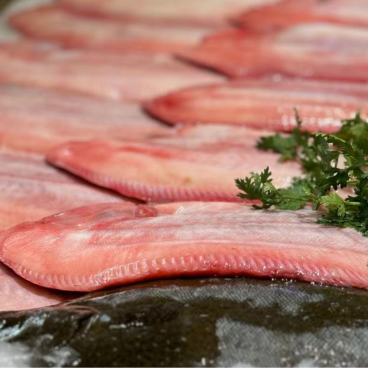 舌头鱼-鳎目鱼-踏板鱼渤海湾2斤起拍（现场称秤，改价上车）顺丰包邮