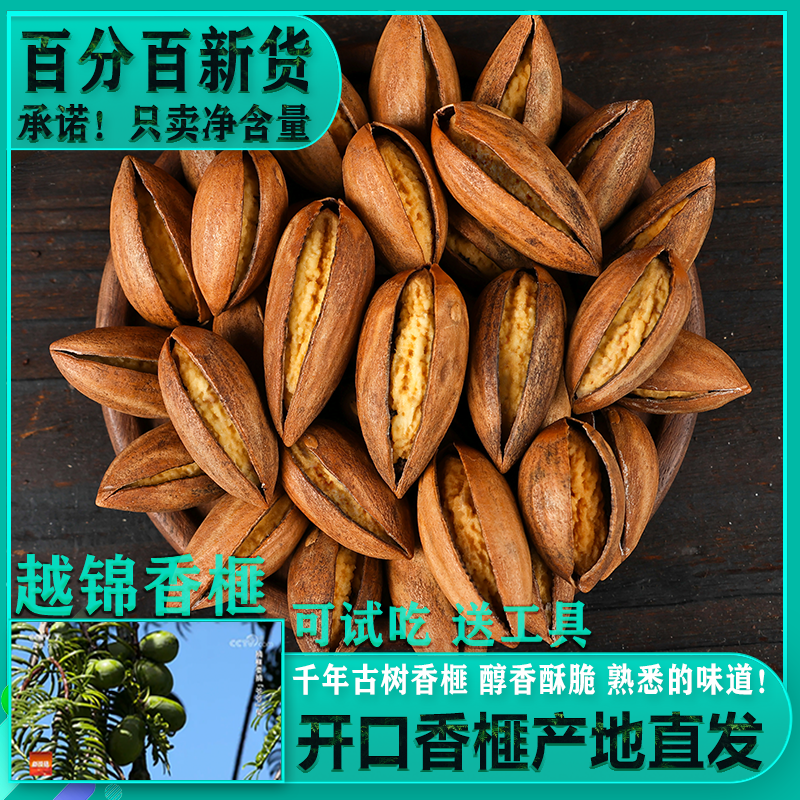 2025新货越锦开口香榧当季新鲜现炒老树香榧产地直发嵊州坚果零食