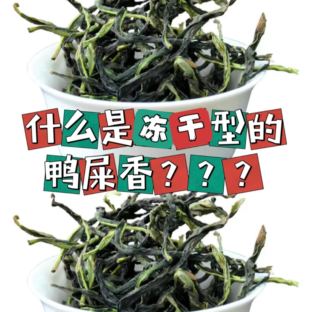 升级版【冻干鸭屎香】新工艺凤凰单丛高香抽湿兰花香乌龙茶绿衣仙子