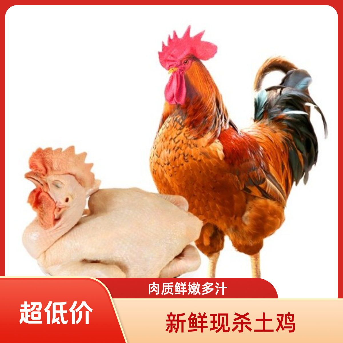 散养一年土公鸡美味新鲜现杀锁鲜整鸡净重3.5斤左右优鲜到家