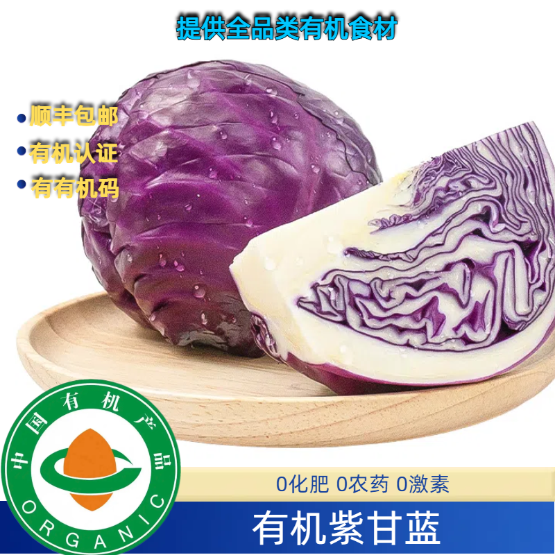 3斤有机紫甘蓝无农残可凉拌低卡味道好现摘现发，健康生菜新鲜蔬菜
