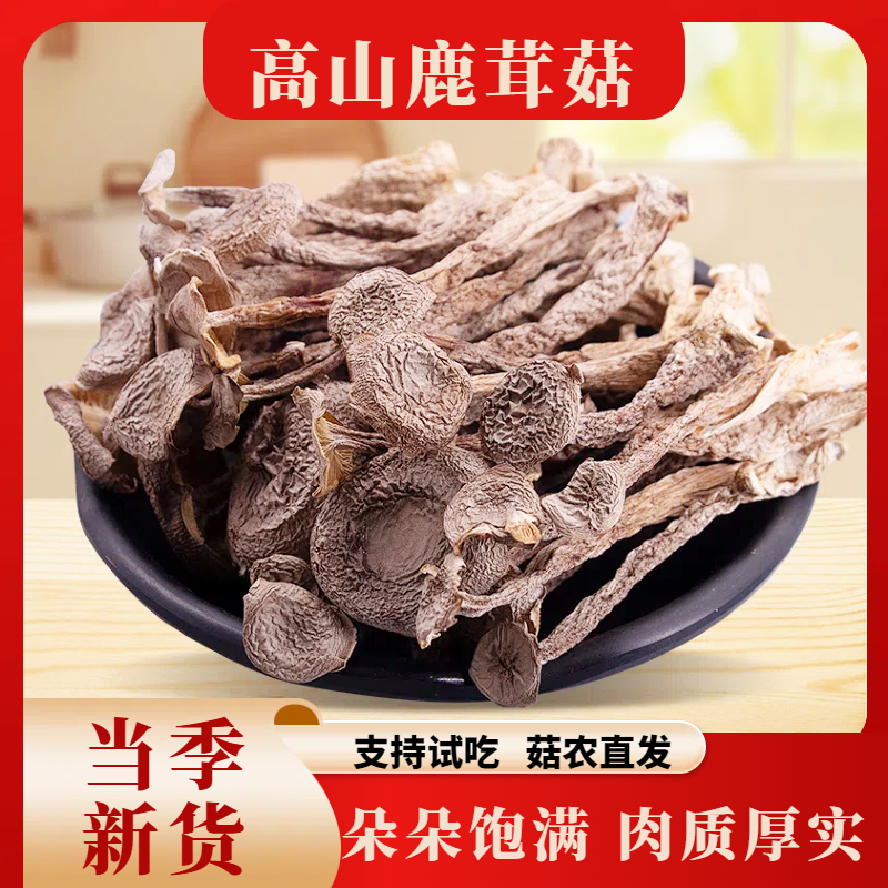 【高山鹿茸菇】菇农直发 自然晾晒干货炒菜煲汤脆嫩 脱水蔬菜
