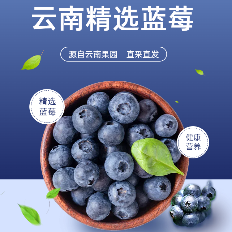 云南高山蓝莓现摘现发果园直采酸甜可口18mm+果王100g/盒大包装