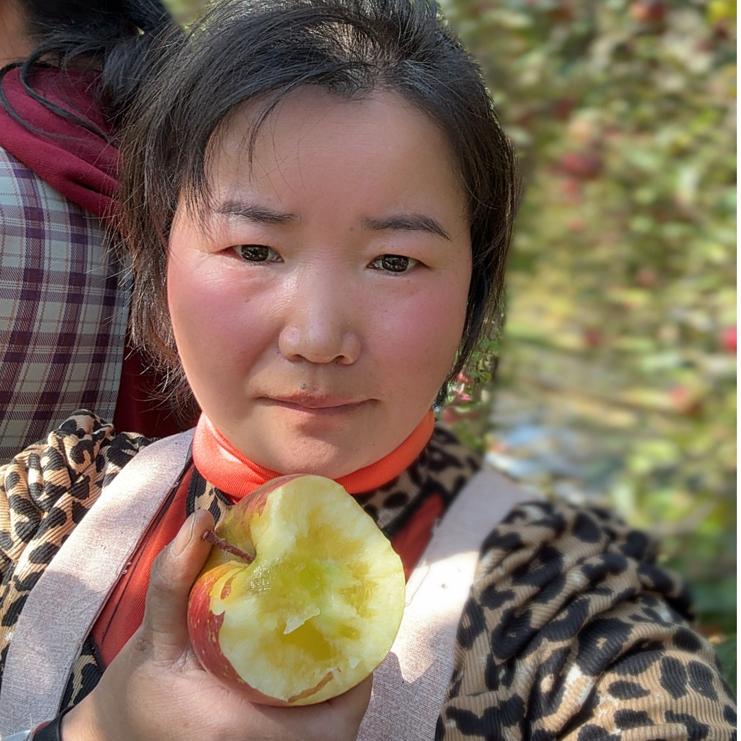 云南昭通冰糖心新鲜当季现摘农村脆甜多汁云南昭通丑苹果冰糖心