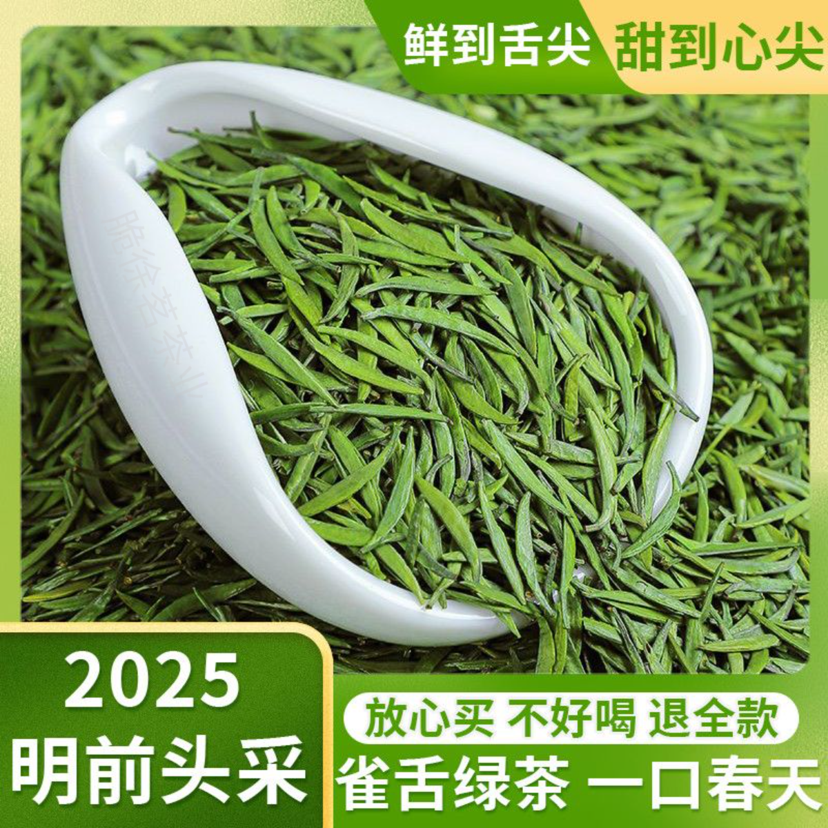 特级雀舌绿茶2025新茶叶明前茶叶礼品高级茶叶口粮茶绿茶新茶X