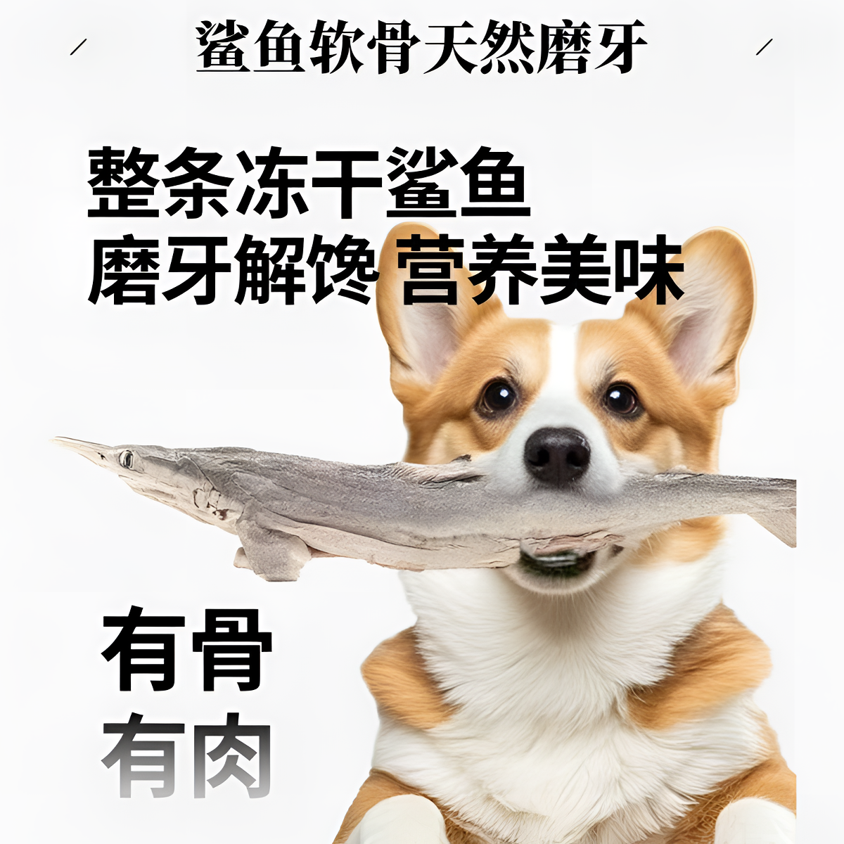 鲨鱼软骨宠物磨牙棒猫狗鲨鱼皮肉干整只小鲨鱼干冻干洁齿训犬零食