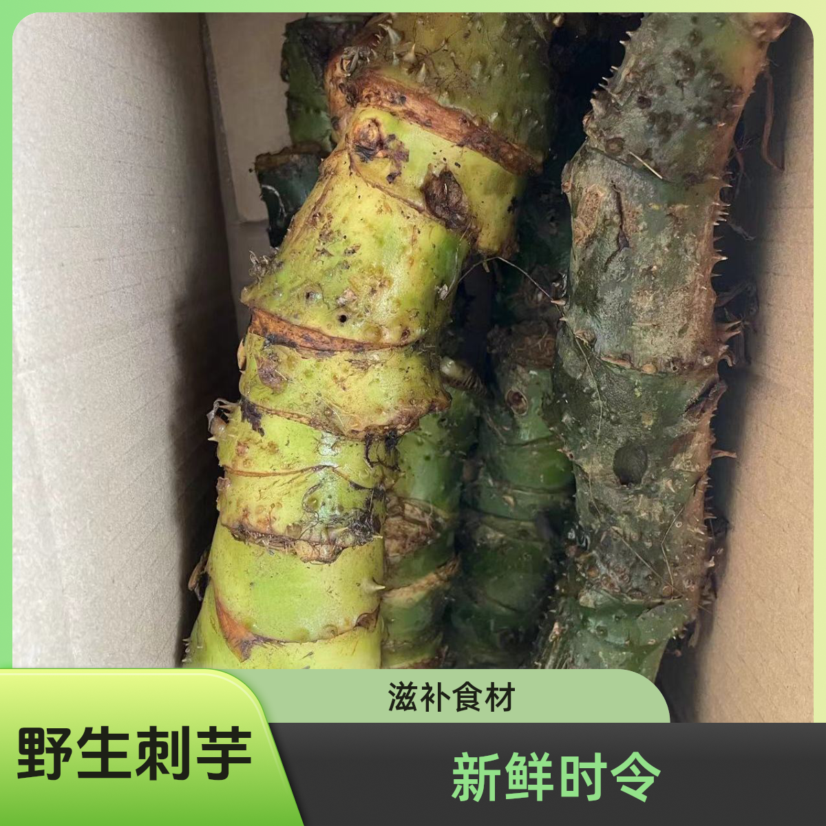 野生刺芋水刺芋勒藕慈茹水勒芋秋冬滋润汤新鲜簕茨菇农产品1-5斤