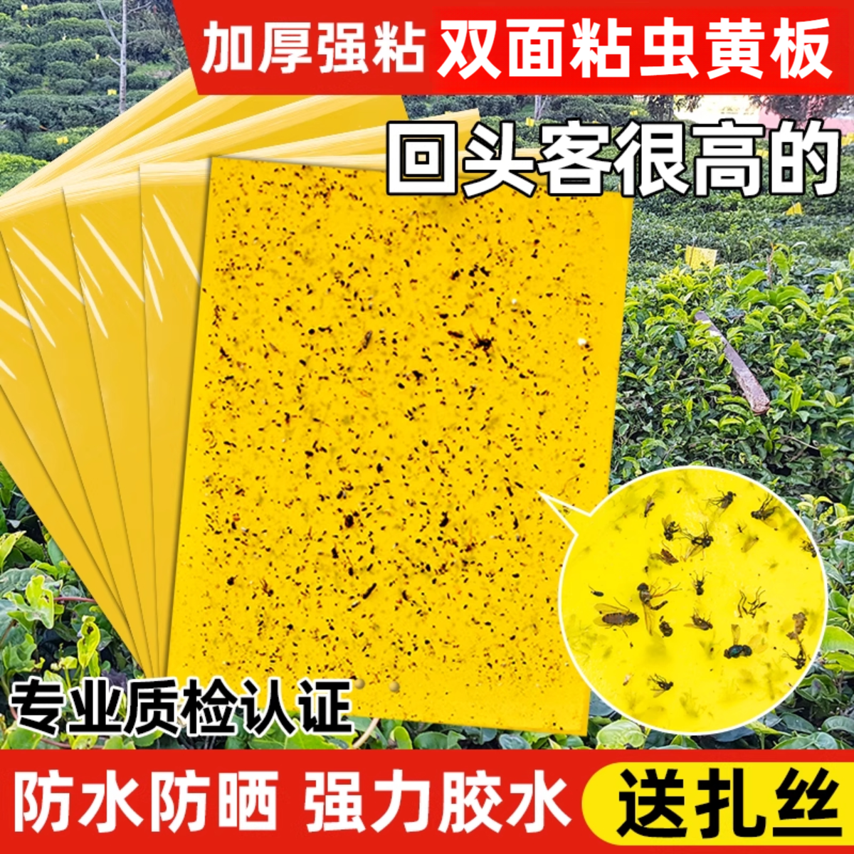 粘虫板黄板诱虫板双面沾白粉虱蚜虫飞虫针蜂贴果蝇诱捕器果园大棚