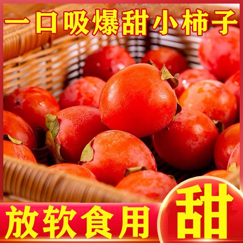 【45枚装】新鲜现摘吊红柿子珍珠蜜柿放软吃小柿子当季火晶柿子