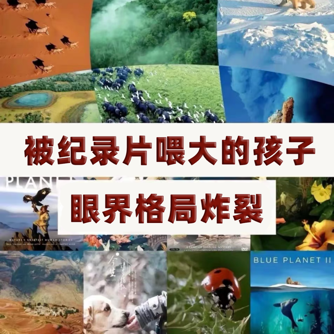 高分孩子家长必看央妈儿童少儿纪录片推荐启蒙教育科普全科动画片