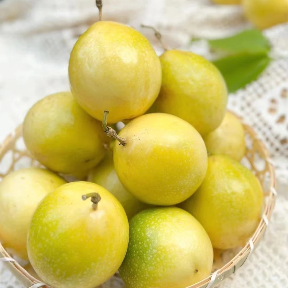 黄金百香果新鲜现摘酸甜多汁应季小孩孕妇水果