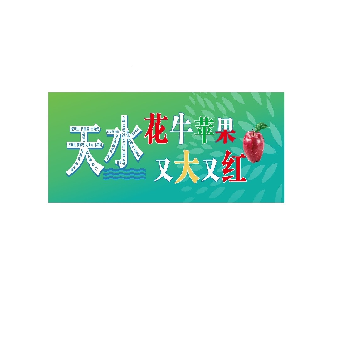 天水手拉旗、花牛苹果又大又红