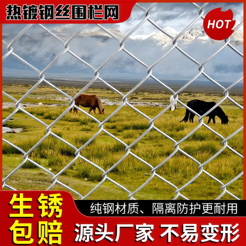 热镀锌铁丝网养殖勾花网果园围挡铁丝菱形网鸡鸭牛羊狗防护铁丝网