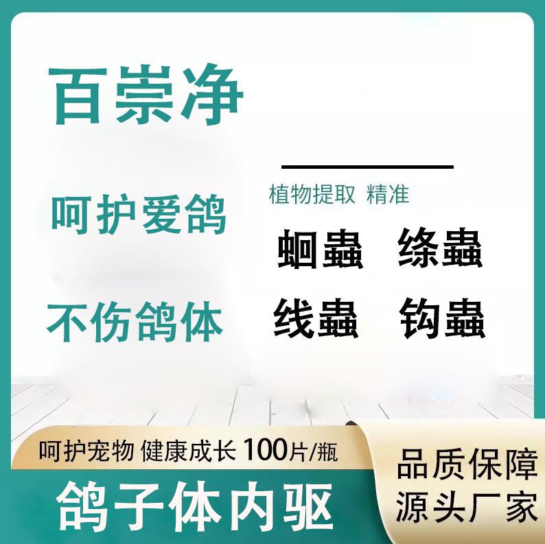 百崇净100片 赛鸽信鸽鸽子用品