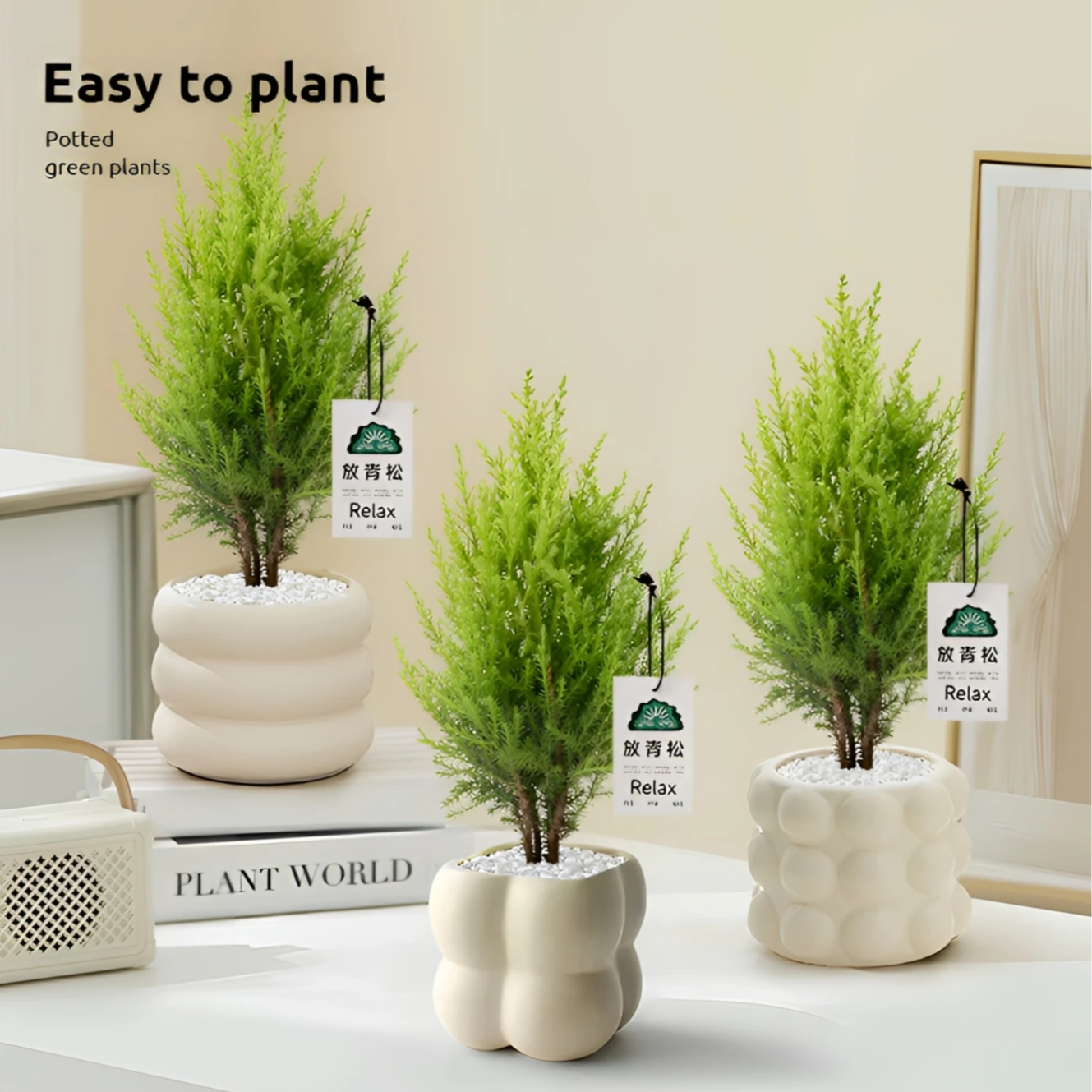 小香松桌面绿植办公室内盆栽防辐射植物四季常青花卉圣诞树北欧风