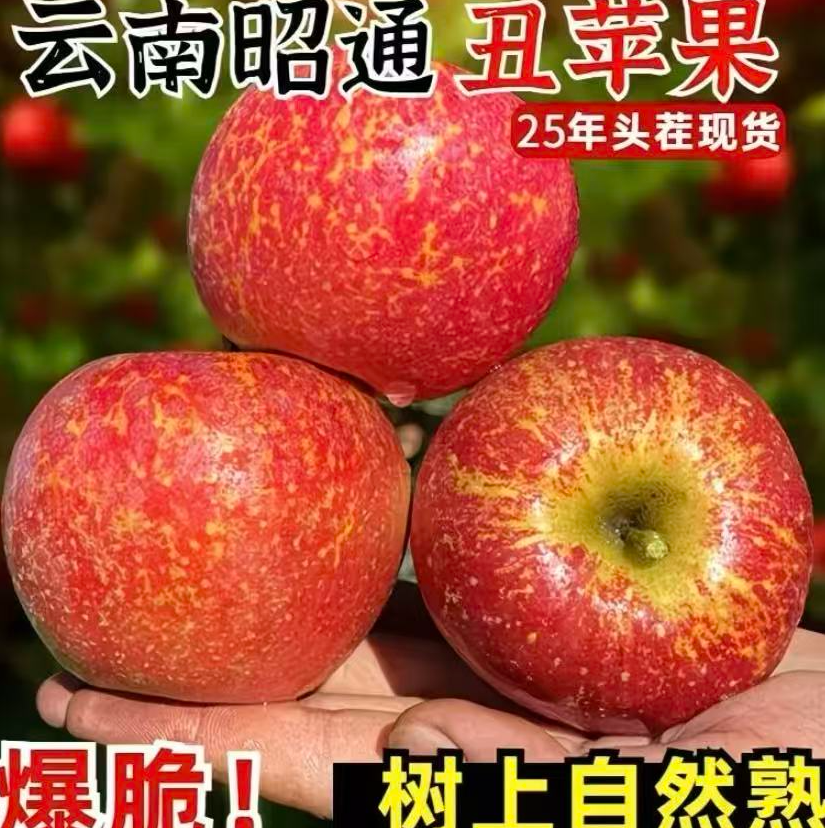 云南昭通丑苹果脆甜多汁新鲜应季水果现摘包邮