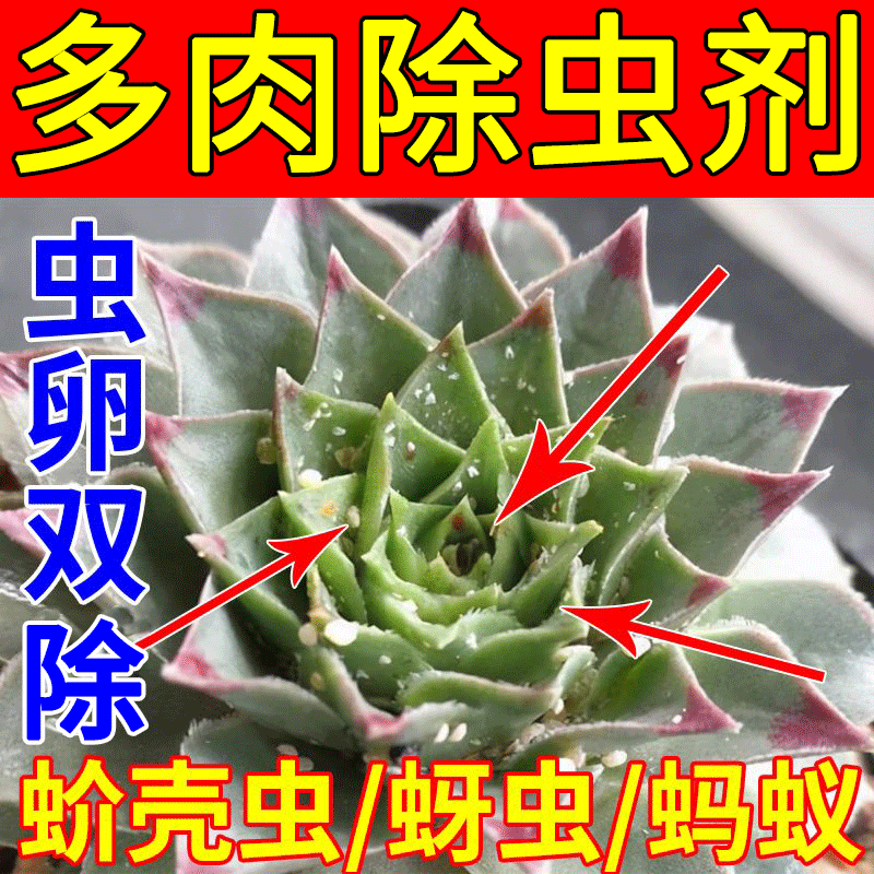 多肉除虫剂营养液喷雾家用植物花卉小黑飞虫蚧壳虫驱蚜虫专用肥料