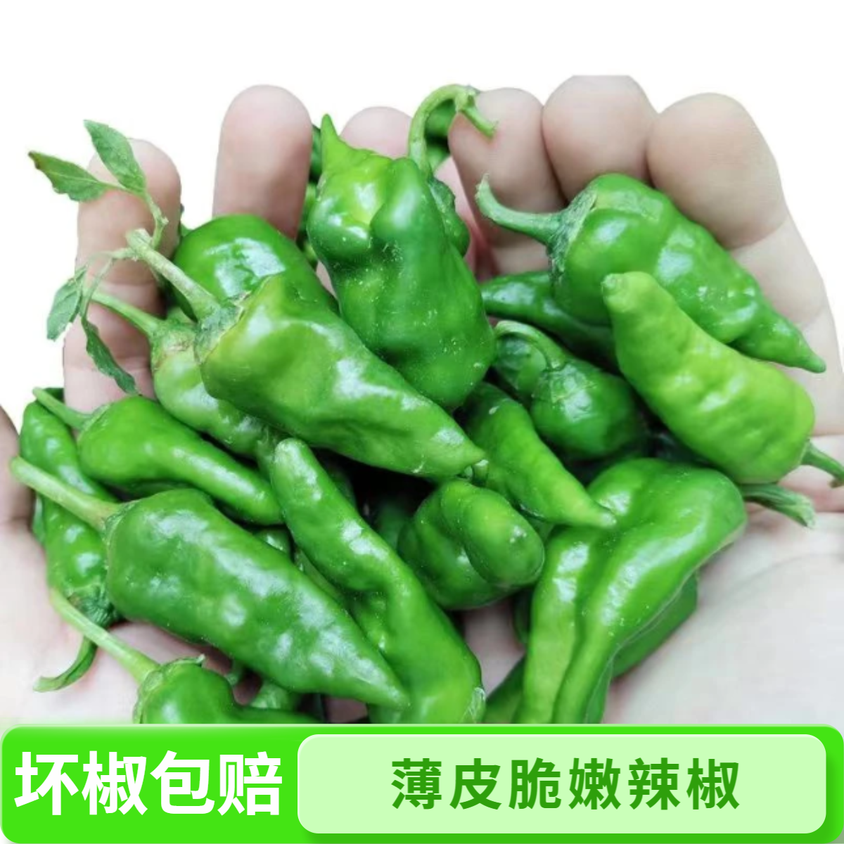 农家自种辣椒土辣椒正宗余干辣椒新鲜特辣薄皮青椒爆辣非小米辣