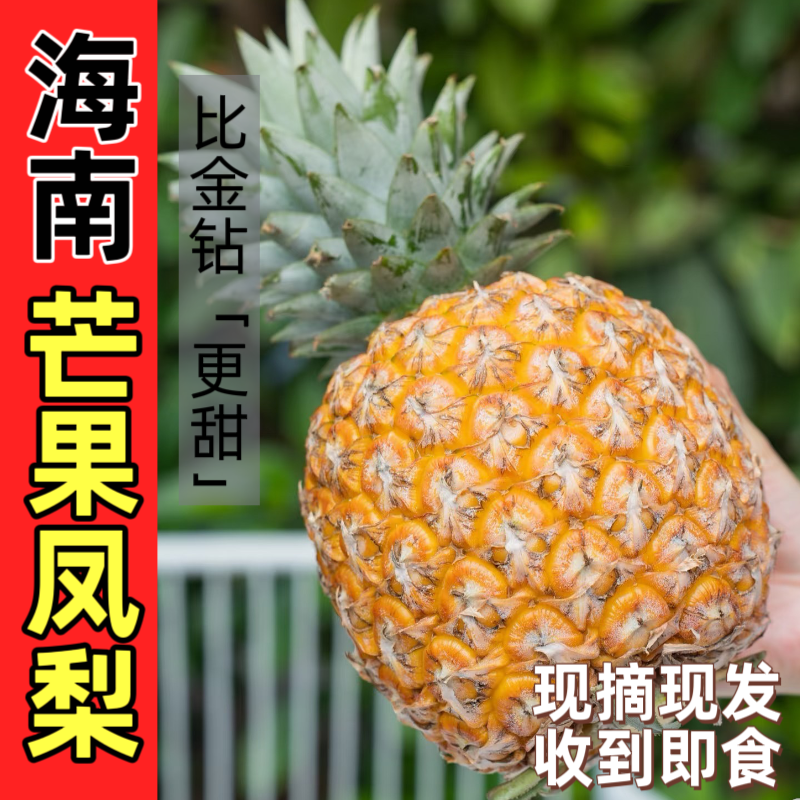 【芒果凤梨】顺丰台农23号海南芒果凤梨香甜热带水果树上熟彩箱礼盒