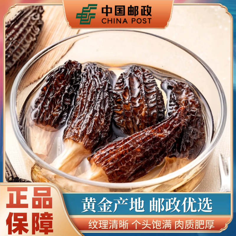 邮政甄选新鲜羊肚菌干货菌子精品羊肚菌襄阳特产级煲汤食材牛肚菌