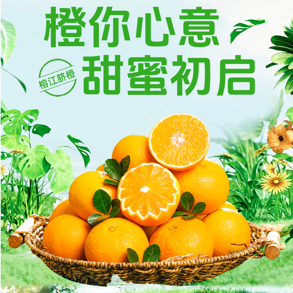 果园直发（贵州村超榕江高山脐橙鲜果）