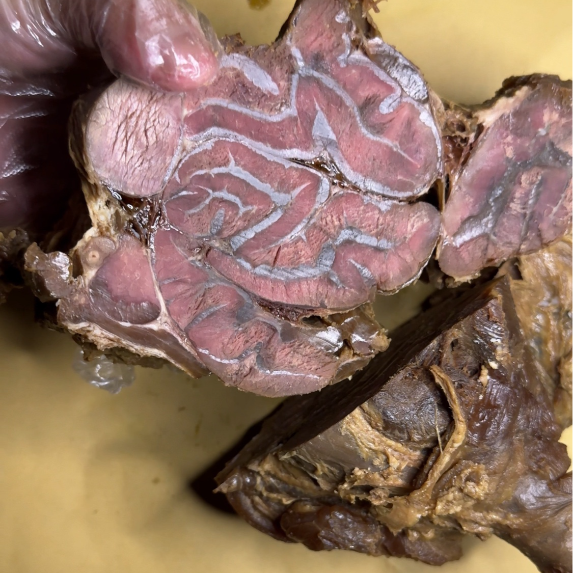 五香酱牛肉开袋即食牛腱子肉