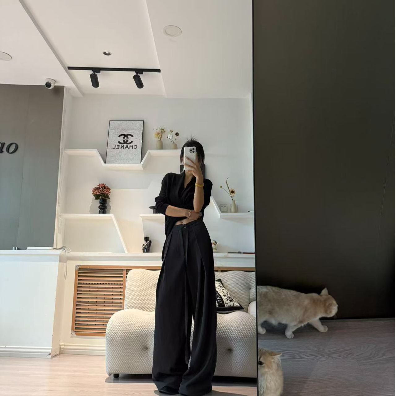 高级黑色气质西装阔腿裤女秋季高腰搭配洋气休闲直筒拖地长裤