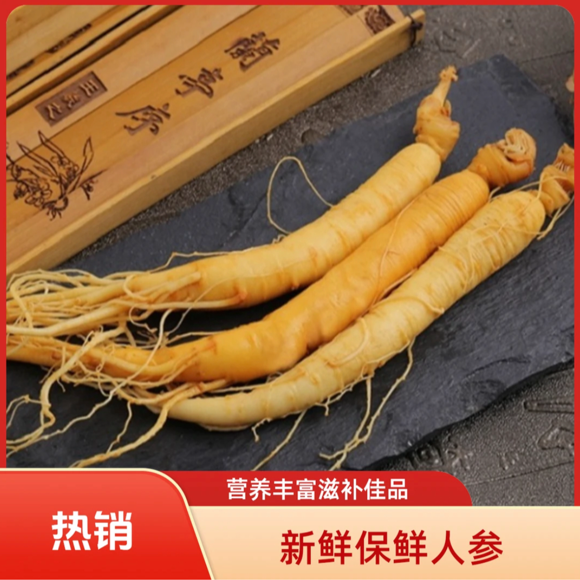 长白山保鲜西洋参拍一发10顺丰包邮