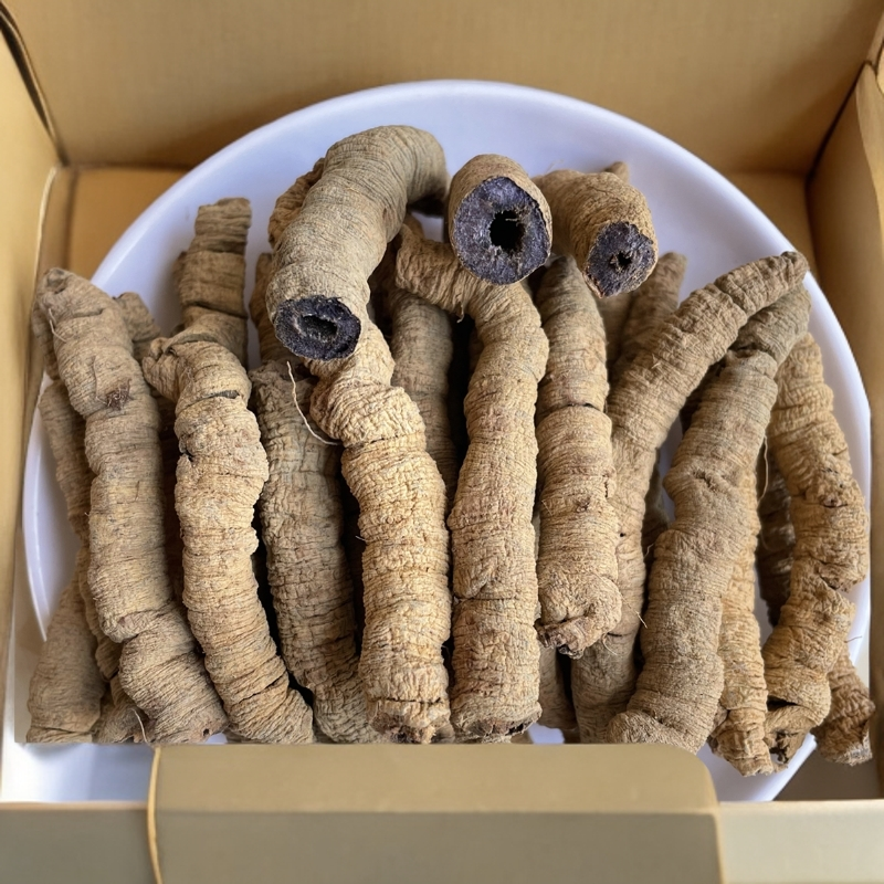 精选道地大个巴戟干可用于泡酒泡茶煲汤实用干货