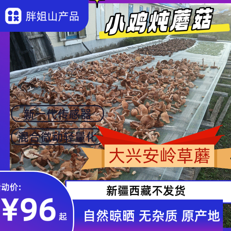大 兴安岭新采野生草蘑菇干货小鸡炖蘑菇土特产蘑菇新货包邮
