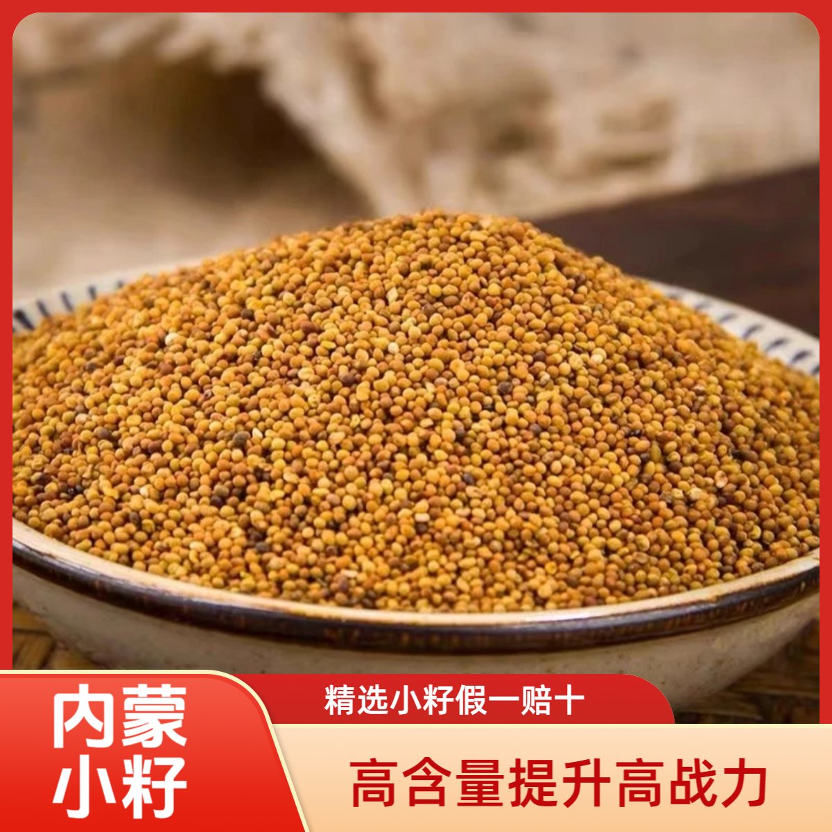 精选优质菟丝子内蒙野生货正品可泡茶泡水喝