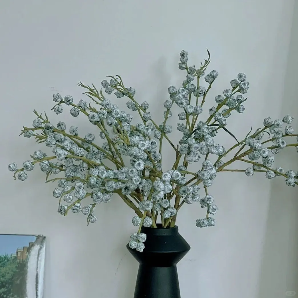 【尤加利鲜果】澳洲进口尤加利果鲜切花云南基地发干花室内花卉