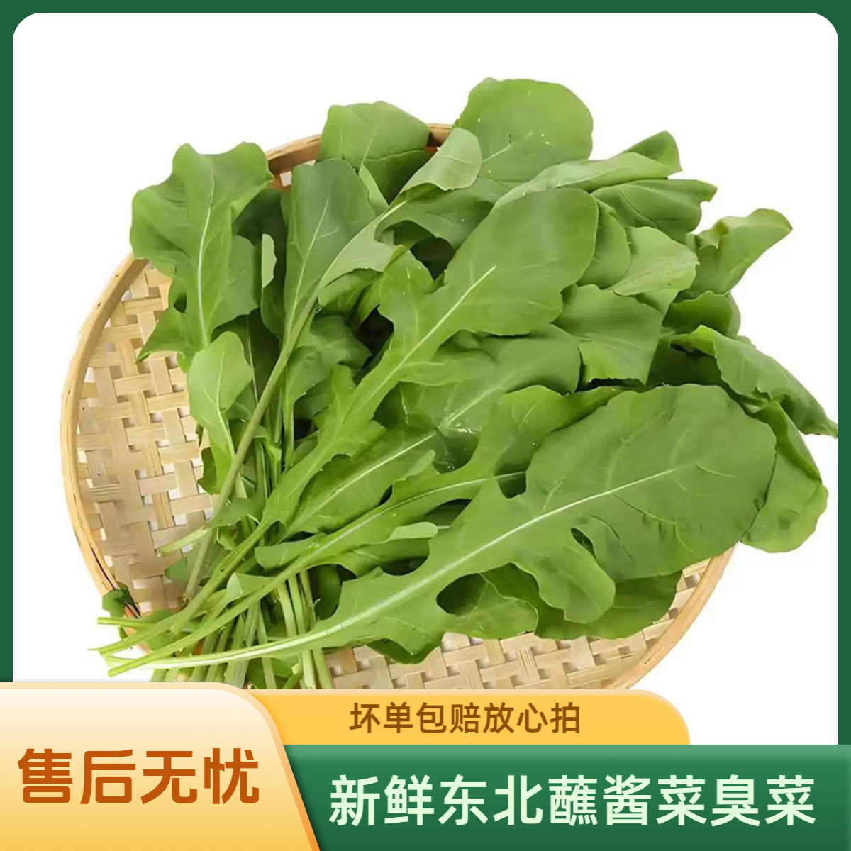 东北新鲜农家自种臭菜现摘先发水嫩多汁蘸酱生吃蘸酱菜当季蔬菜