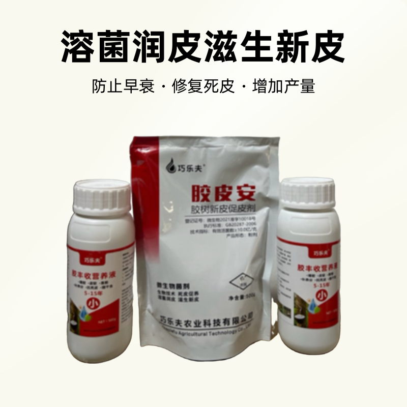 橡胶树科学管理方案黄金组合营养增胶，修复死皮增加产量，防止早衰