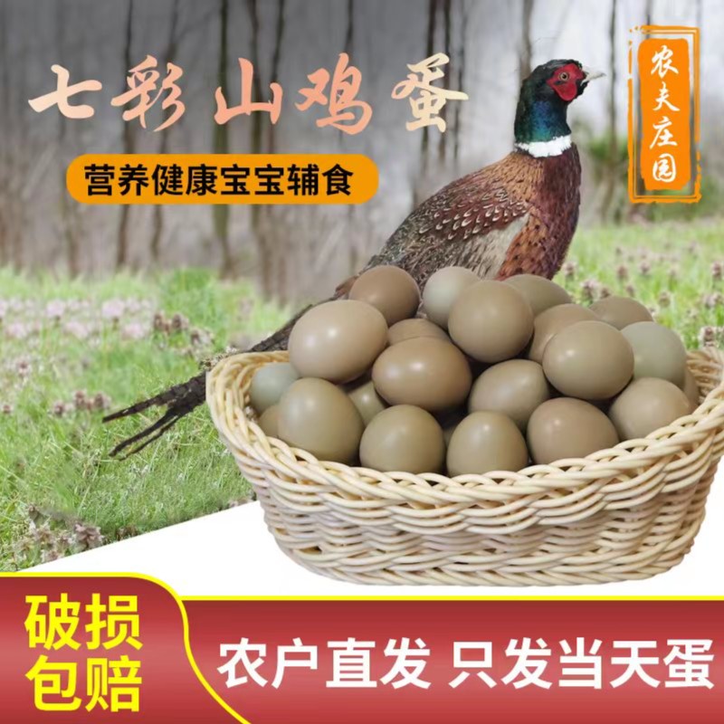 30枚60枚好吃七彩山鸡蛋农家野山鸡蛋新鲜营养五谷杂粮喂养当天蛋