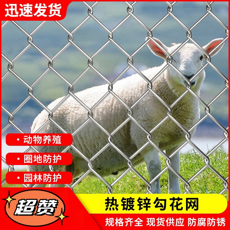 不锈钢勾花网边坡防护蔬菜镀锌铁丝钢丝隔离围栏果园围栏网高颜值