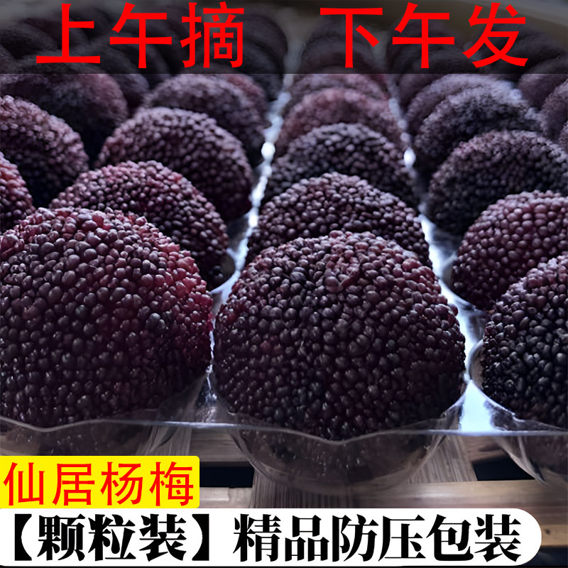 正宗仙居东魁杨梅新鲜水果孕妇当季鲜果现摘现发 顺丰直达