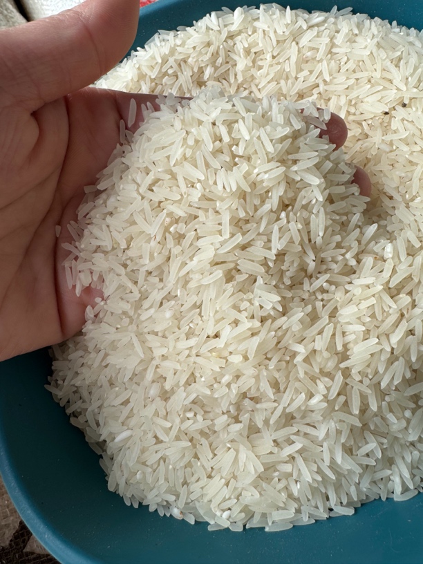农家2025年十月冬象牙米新米煮饭煮粥都可