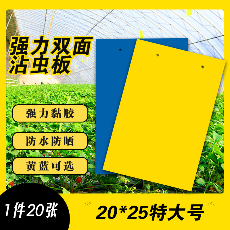 双面强力粘虫板诱虫板黄色蓝色灭小飞虫诱沾蚜虫白粉虱苍蝇农业